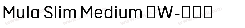 Mula Slim Medium 中W字体转换